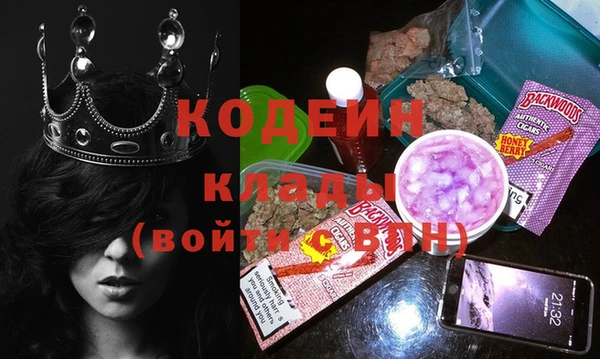 крисы Алексин