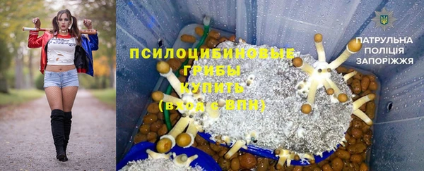 крисы Алексин