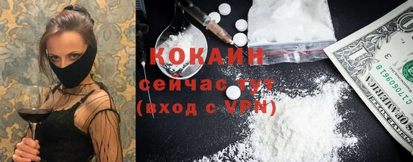 соль ск Алексеевка